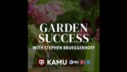 Garden Success — Inside the Plant Clinic: A Conversation with Dr. Kevin Ong