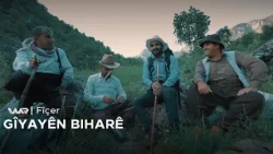 Fîçer - Gîyayên Biharê | فیچەر- گیایێن بهارێ