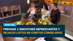 Smoothies to Refresh and Complement a Healthy Diet 250926