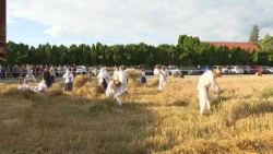 Održane 32. Petrijevačke žetvene svečanosti