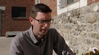 Replanter des pensées à l'automne !