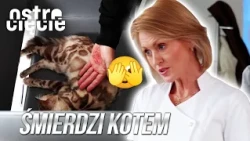 W SALONIE FRYZJERSKIM CZUĆ BYŁO INTENSYWNY ZAPACH KOTÓW 😻 | Ostre cięcie | Ostre cięcie