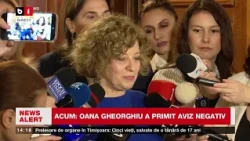 Oana Gheorghiu, aviz negativ la audierile din comisiile de specialitate. Ce a declarat după