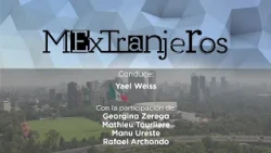 MExTranjeros: Gender-based violence and insecurity: the case of Claudia Tacoronte, 2027 Economic ...