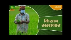 Kisan Samachar: Latest News of Agriculture | DD Kisan | Oct. 02 2026