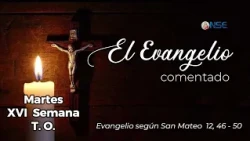 Gospel 📖 commentary July 21🕊️
