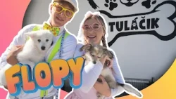 Psík DE LUXE! | Flopy a Fify